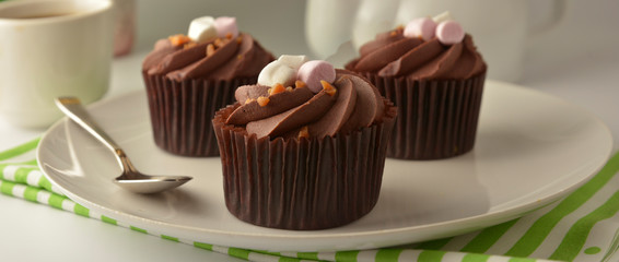 Delicious chocolate cupcake dessert. Brownie cake with cream. Sweet dessert. Banner, template.