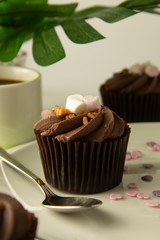 Delicious chocolate cupcake dessert. Brownie cake with cream. Sweet dessert. Monstera green leaves on background.