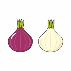 Onion vector isolated on white
