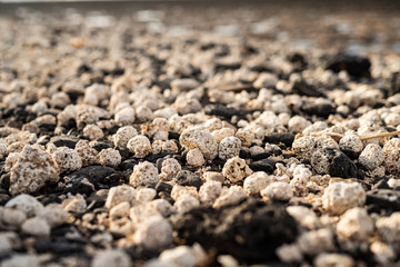 popcorn beach fuerta - Espania