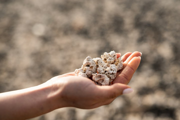 PopCorn Beach - ocean