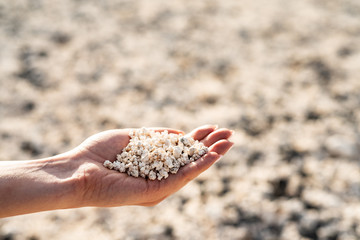 Popcorn beach- ESPANIA