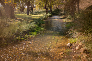 Pancrudo river next to Navarrete del Rio, province of Teruel, Aragon, Spain © Jorge Anastacio