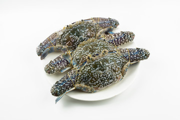 Blue crab isolated on white background