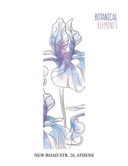 Iris hand drawn illustration. Floral decoration, beautiful wedding bloom card. Graphic banner with watercolor iris plants, summer pastel decoration.