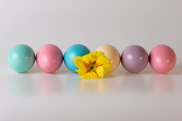 Painted Easter Eggs Straight Line Yellow Flower Gray Background
