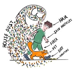 House dust composition