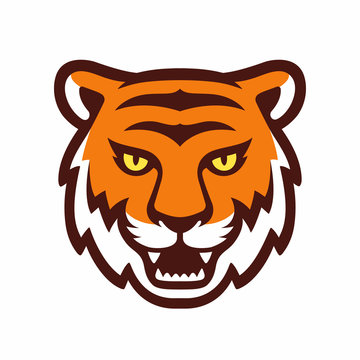 Tiger head illustration