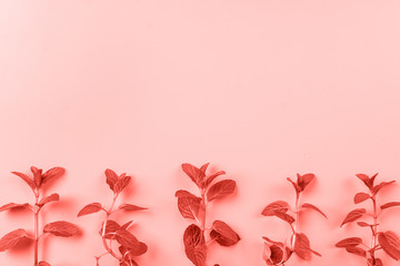 Beautiful living meant leaves texture in trendy pastel coral color