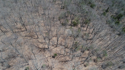 DCIM\100MEDIA\DJI_0021.JPG