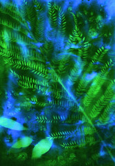 Abstract hand painted bright blue green fabric background with leaves