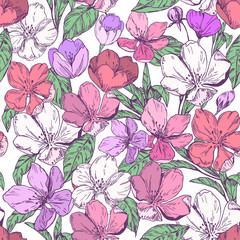 Floral seamless pattern with apple blossoms. Vector