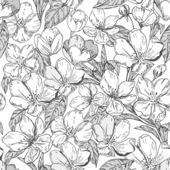 Floral seamless pattern with apple blossoms. Vector