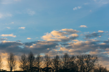 silhouettes of trees in winter with sky and clouds
