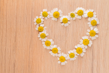Obraz na płótnie Canvas chamomile flowers on wooden