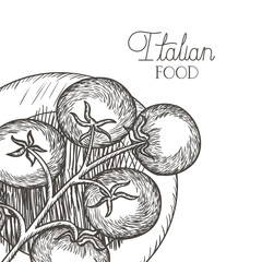 delicious tomato in drawing isolated icon