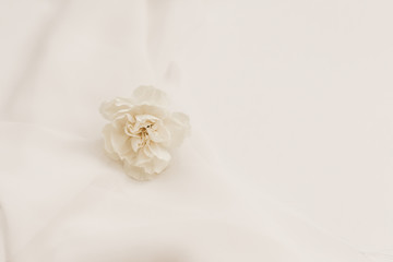 Fototapeta na wymiar Elegant Neutral & White Floral