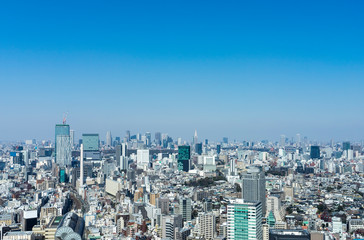 Fototapeta premium 東京 渋谷 新宿の眺望