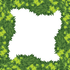 A nature green border