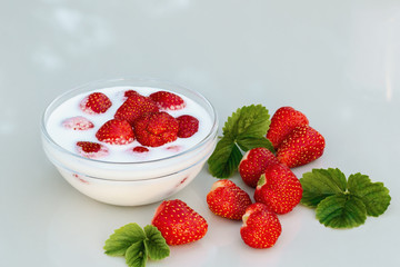 Fresh ripe strawberries in a bowl with yogurt on a white table outdoors on a summer day