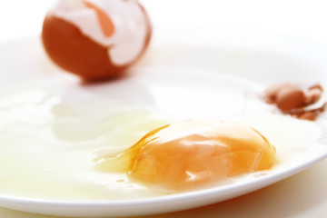 Egg background / chicken egg yolk is a major source of vitamins and minerals. It contains all of the egg's fat and cholesterol, and nearly half of the protein