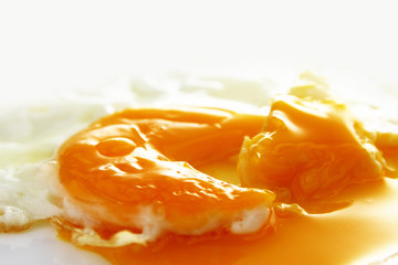 Egg background / chicken egg yolk is a major source of vitamins and minerals. It contains all of the egg's fat and cholesterol, and nearly half of the protein