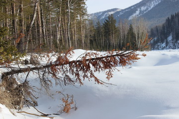winter mountain landscape with frozen lake and trees