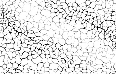 Earth cracks or plant roots on white background. Concrete wall Texture. Cracked pattern design vectors in polygon style.