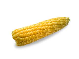 Corn grains are delicious and rich in many nutrients. Isolated on white background