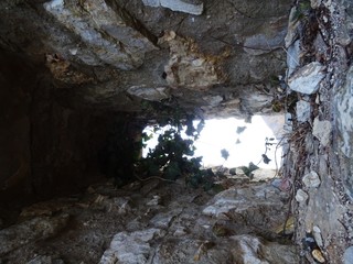 Efeu im Fenster einer alten Ruine