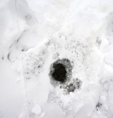 Fshing hole in ice.