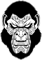 Fototapeta premium APE