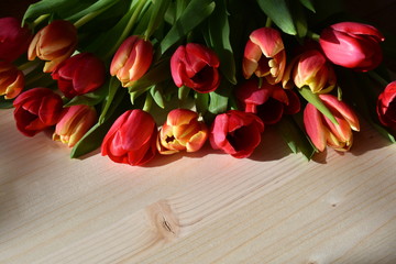 Naklejka na ściany i meble Bunch of fresh spring red tulips thrown on a natural wooden table top, in bright sunlight with strong contrast of bright and shadow parts.
