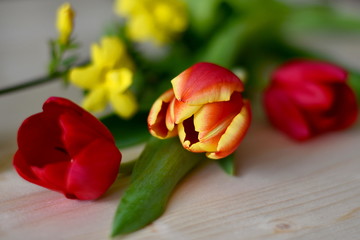 Three red tulips in diagonal arrangement on the wooden surface, decorated with small yellow spring flowers and green leaves. One flower has yellow fringe on the petals.