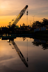 Fototapeta premium A big crane reflect on the swamp surface