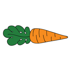 quirky hand drawn cartoon carrot