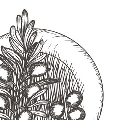 olive flower drawing isolated icon