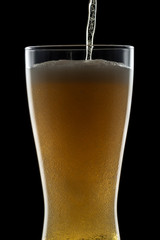 缶ビール
