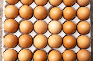 Close up group of fresh organic chicken eggs in paper tray, Easter eggs concept..