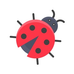 Obraz premium Ladybug vector, Isolated Spring season flat icon