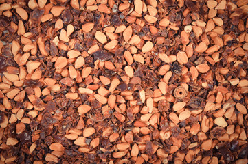 Dried wild rose tea grains as background