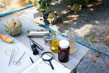 Equipment for quality monitoring of melon fruits in greenhouses, measuring sugar content by machine Refractometer