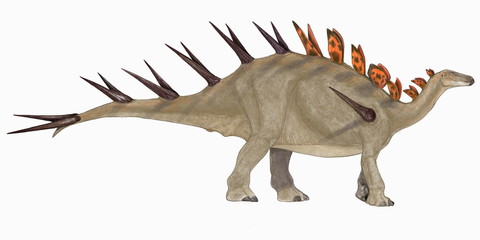 ケントロサウルス(スパイクのトカゲ）アフリカ(タンザニア）のジュラ紀後期の地層から発見された化石に基づく想像図。全長5メートル。ステゴサウルス科であるが、背中の骨板の形状は細長く、ステゴサウルスの骨板が体温調節であるとされているのに対し、腰部から尾の先まで長く鋭い棘に変化していることから、外敵からの防御的役割が強いものだったと考えられている。 © Mineo