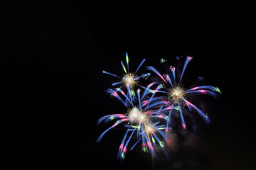 打ち上げ花火　青色系　黒背景