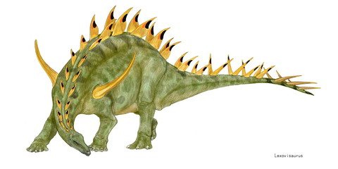 レクソヴィサウルス　ジュラ紀中期から後期にかけて現ヨーロッパに当たる地域で生息していた剣竜類。全長5メートルほどの草食恐竜であり、化石はフランスとイギリスで発見されている。ケントロサウルスに類似するが、棘の間隔が狭く、独自性がある。肩から突き出している大きな棘は攻撃よりは威嚇の目的であったと思われる。 © Mineo