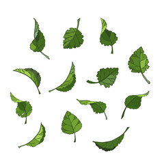 set of isolated green leaves vector icons illustration on white background