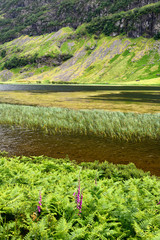 Detail of Loch Achtriochtan on the River Coe in green Glen Coe valley with Aonach Dubh of Bidean nam Bian Scottish Highlands Scotland UK