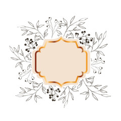 frame with plants and herbs isolated icon