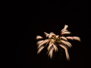 花火素材　シンプル　スペース