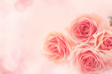 beautiful floral background of roses